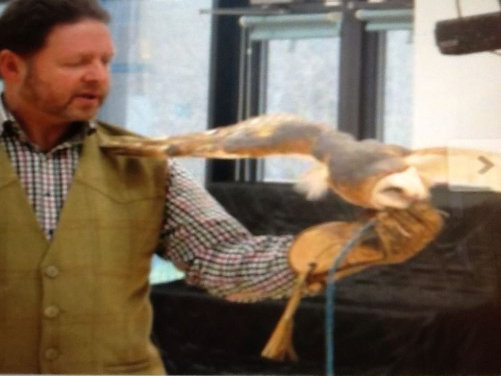 Ian the Bird Man came to our school