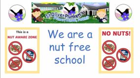 No Nuts Please 